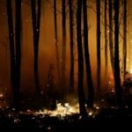 Heat waves fuel wildfires across southern Europe