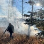 Fighting wildfires is getting harder — these tips could help