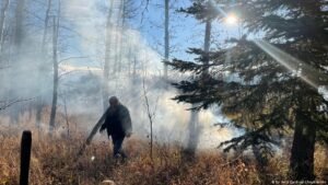 Fighting wildfires is getting harder — these tips could help