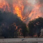 Wildfires in southern Europe cause mass evacuations