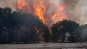 Wildfires in southern Europe cause mass evacuations