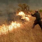 Record wildfires in Spain, France force thousands to flee