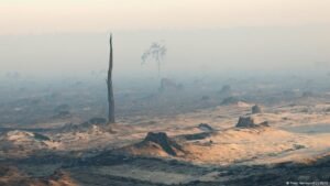 Has Europe lost control of its wildfires?