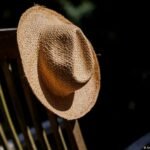 Germany’s heat death toll nears 10,000