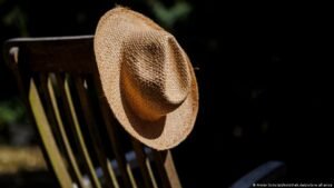 Germany’s heat death toll nears 10,000