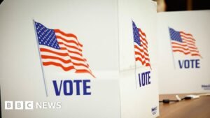 ‘Software error’ led to almost 400 non-citizens voting in New Jersey, governor says