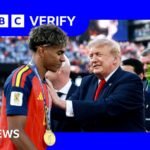 Misleading posts about Trump at World Cup final viewed by millions