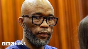 Cat Matlala: Blow to South African corruption case as key suspect pulls out of plea deal