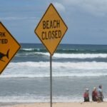 Drones spot sharks 73 times in two days off Sydney beaches