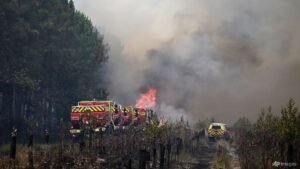 Farmers help battle French forest inferno before new heatwave