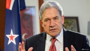 New Zealand foreign minister in racism row with Chinese ambassador