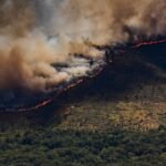 Spain declares national emergency over wildfires near Madrid and in Avila
