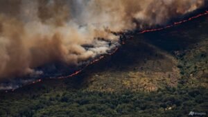 Spain declares national emergency over wildfires near Madrid and in Avila