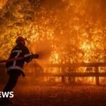 France and Spain fires: Macron calls crisis meeting as wildfires threaten Bordeaux