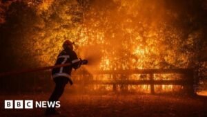 France and Spain fires: Macron calls crisis meeting as wildfires threaten Bordeaux