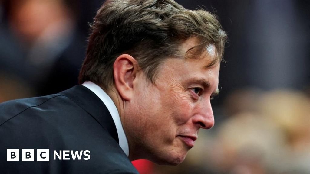 Musk takes ‘crusade’ to Europe with Armie Hammer film