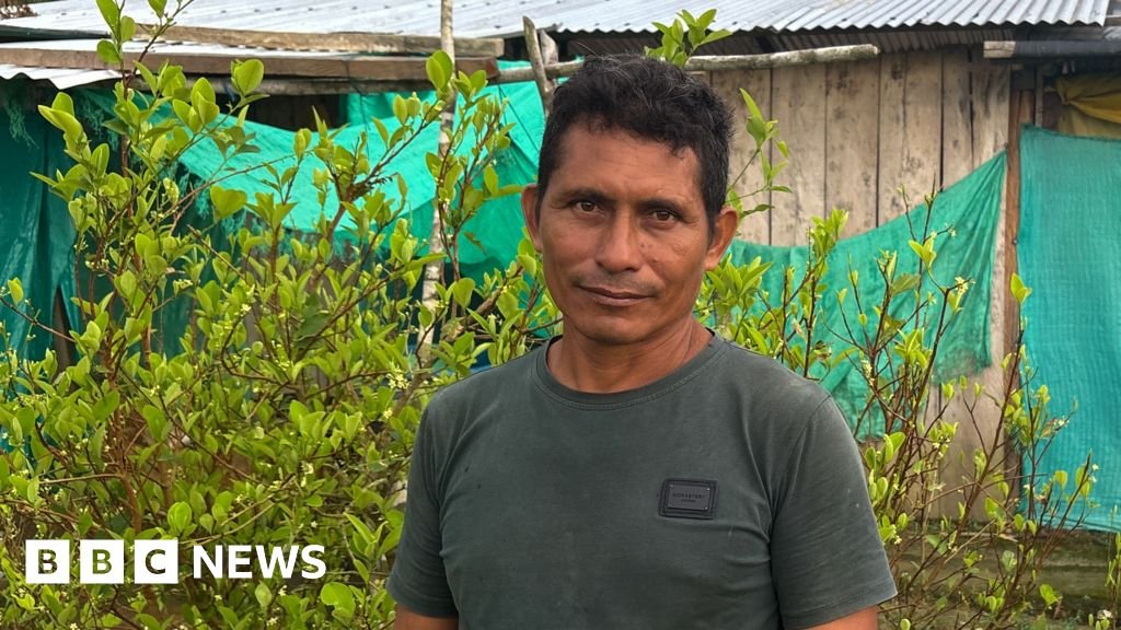 This farmer wanted to quit the cocaine industry – he couldn’t