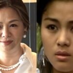 Former TVB actress Cecilia Yiu announces acting comeback after 30 years
