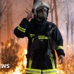 Wildfire now nine miles away from French city of Bordeaux, mayor warns