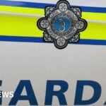 The Bush: Man and woman killed in two-vehicle collision
