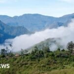 American pilot shot dead and plane torched by Papuan rebels