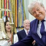 Trump Accounts: Will the new savings scheme for American children succeed?