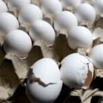 Egg-free school meals scramble politics in India