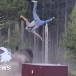 Grandfather recounts terrifying Yellowstone Park bison attack