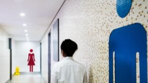 Japanese women MPs get just two more toilets