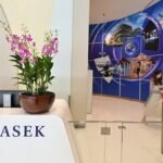 Temasek aims to more than double AI investment portfolio share to as much as 15% by 2031