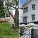Public rating system for nursing homes ‘worth studying’: MOH