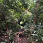 Nature groups call for stronger environmental safeguards over Sunset Way, Gillman Barracks housing plans