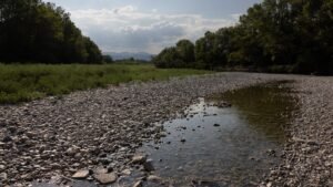 Drought forces water restrictions across nearly 70% of France