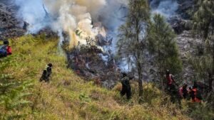 Indonesia battles Mount Bromo wildfire as El Nino takes root