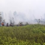 Make it rain: Indonesia chases clouds to stem El Nino fires
