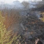 Residents evacuate as Belgium wildfire scorches 1,600 hectares