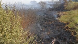 Residents evacuate as Belgium wildfire scorches 1,600 hectares