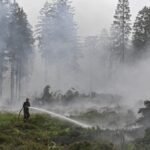 Firefighters in ‘decisive’ push to encircle Belgian wildfire