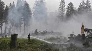 Firefighters in ‘decisive’ push to encircle Belgian wildfire