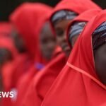 Nigeria’s mass wedding – and how to tell lovers from fraudsters in Kano