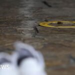 Thai school shooting: Teen learnt how to use guns via social media