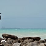 Somali piracy surges as the impact of the US-Iran war ripples outwards