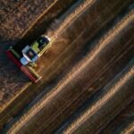 ‘Perfect storm’ brews for global food supply this winter as grain prices soar