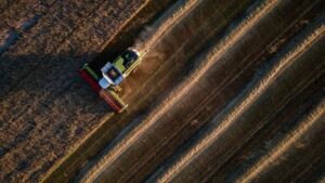 ‘Perfect storm’ brews for global food supply this winter as grain prices soar