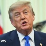 US says dozens of countries helped China dodge Trump’s tariffs