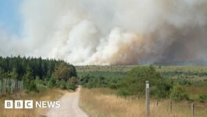 Belgian firefighters battle blaze tearing through nature reserve