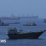 China warns it will safeguard its interests after US widens sanctions against Iran