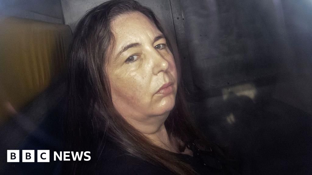 Erin Patterson: The hotel booking snafu that could free mushroom murderer