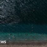 Ocean heat records broken as hottest July temperature recorded