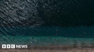 Ocean heat records broken as hottest July temperature recorded
